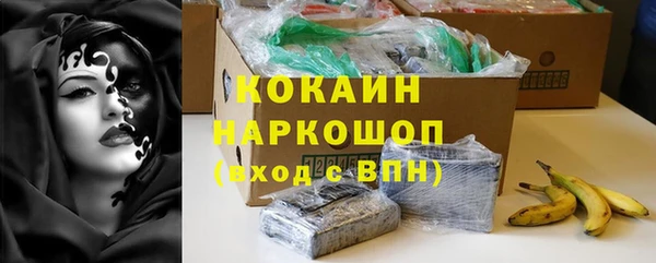 гашик Магас