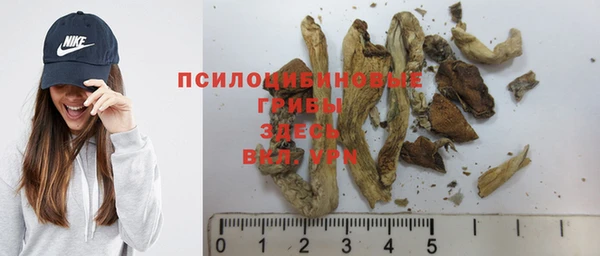 Альфа ПВП Майский