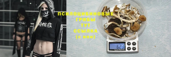 Альфа ПВП Майский