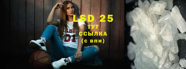 ПСИЛОЦИБИНОВЫЕ ГРИБЫ Бабаево