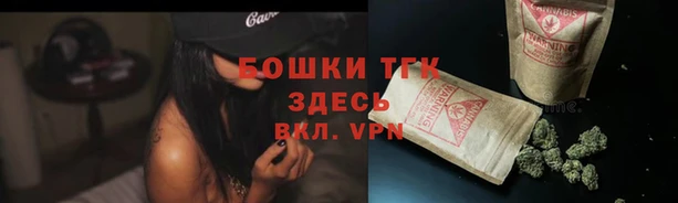 гашик Магас