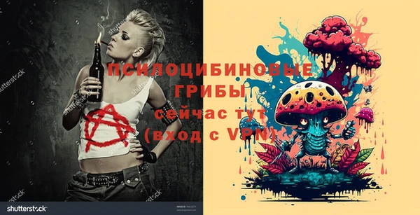 гашик Магас