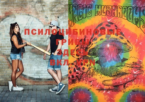 гашик Магас